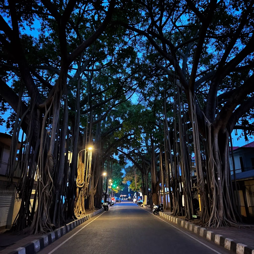 Hyderabad Evening Blue Hour Banyan Grove Street Scene with String Lights in in Hyderabad, India