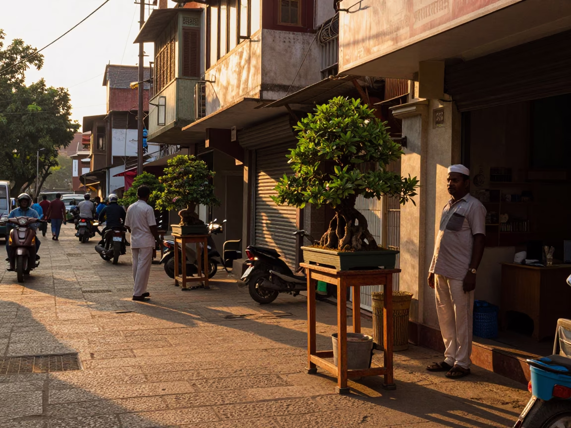 Hyderabad Golden Hour Street Scene with Bonsai Tree and Local Life in in Hyderabad, India