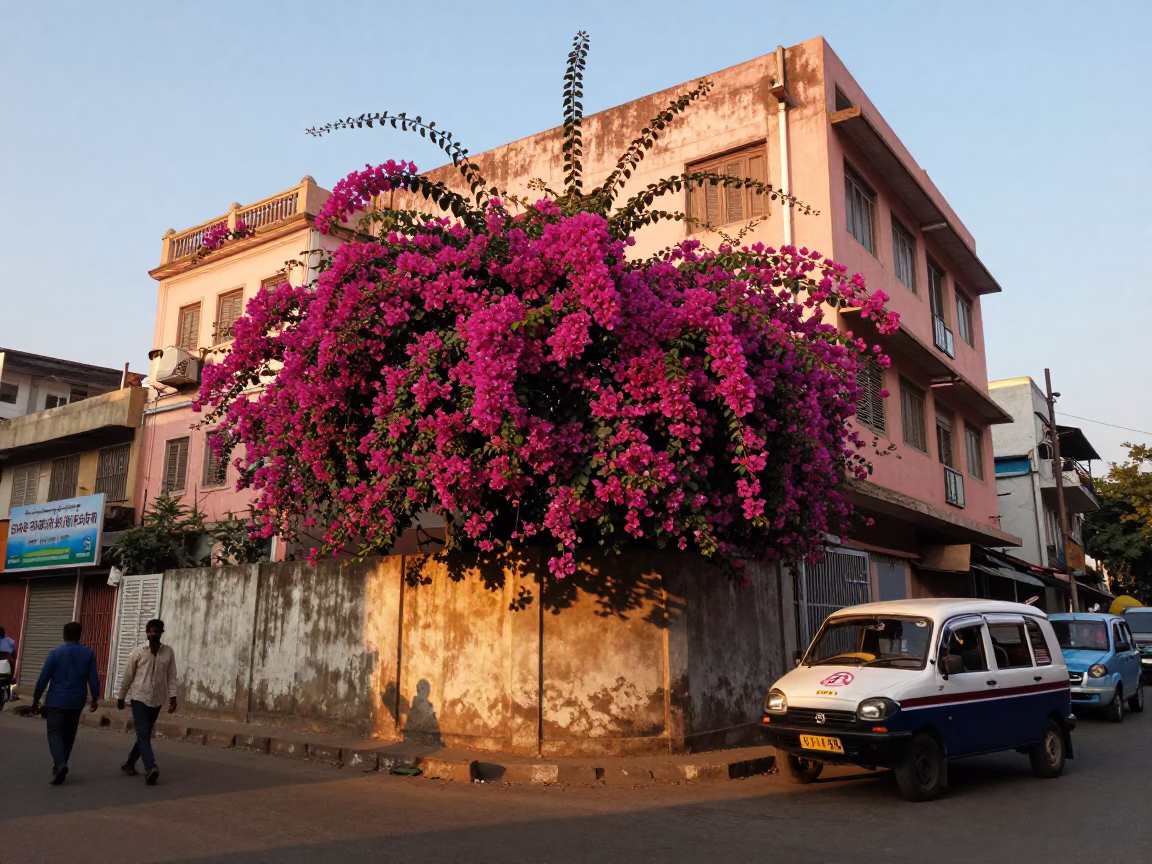 Hyderabad Golden Hour Street Scene with Bougainvillea and Water Taxi in in Hyderabad, India