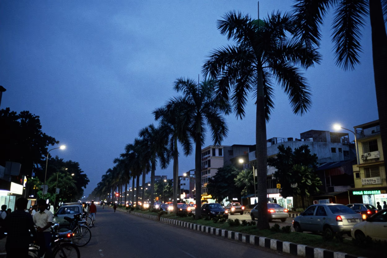 Hyderabad India Blue Hour Street Scene with Palm Trees and City Lights in in Hyderabad, India