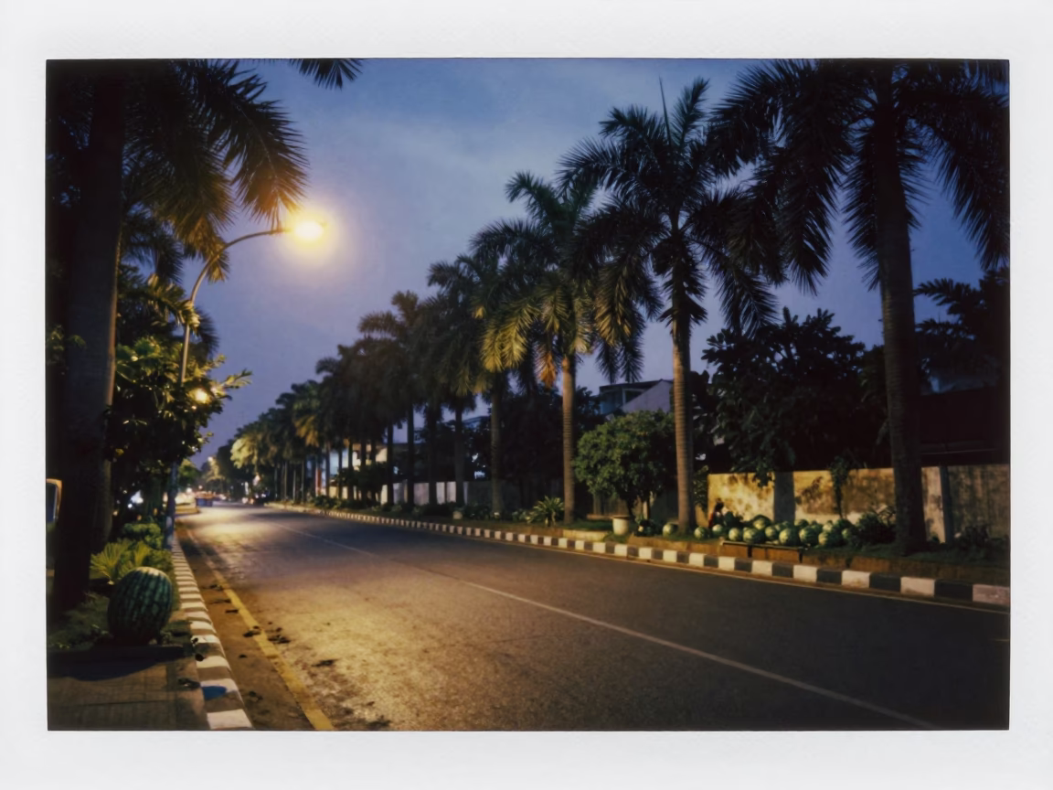Hyderabad India Predawn Street Scene with Palm Trees and Watermelon Vendor Truck in in Hyderabad, India