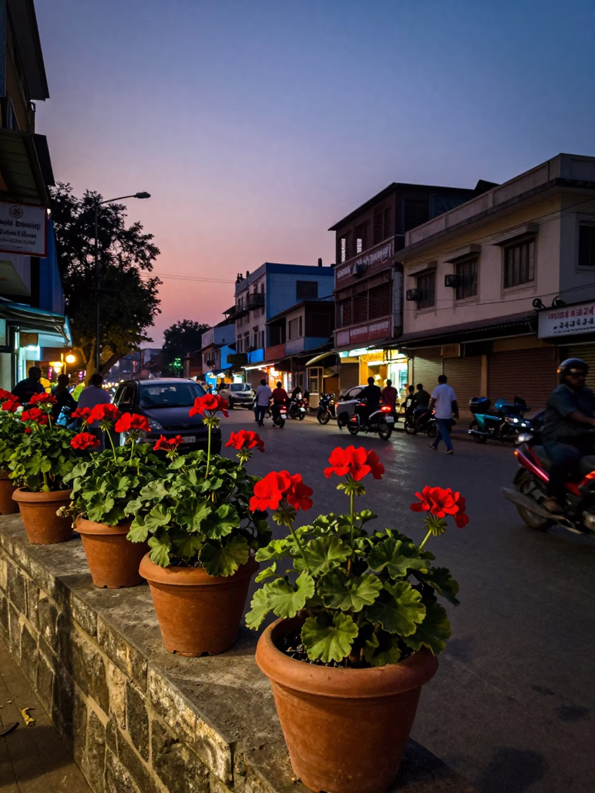 Hyderabad India Twilight Street Scene with Potted Geraniums and Local Life in in Hyderabad, India