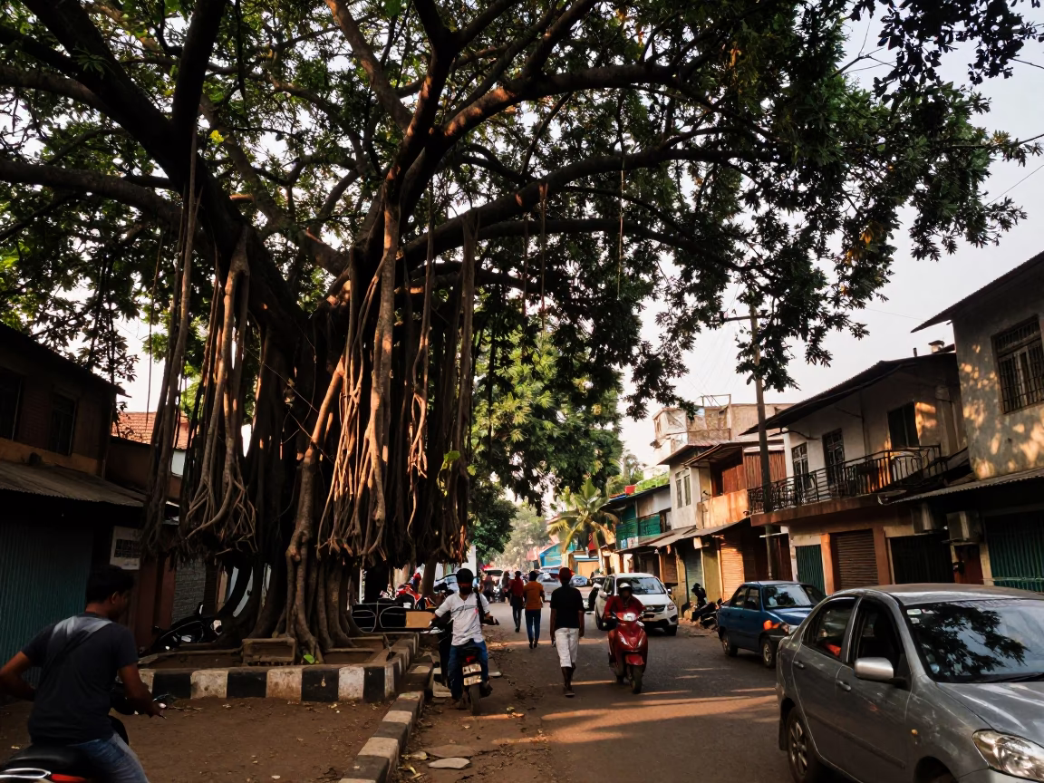 Hyderabad Street Scene Late Afternoon Banyan Grove and Local Life in in Hyderabad, India