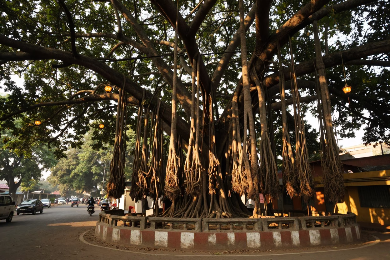Hyderabad Street Scene Late Afternoon Banyan Tree Lantern and Tea Towels in in Hyderabad, India