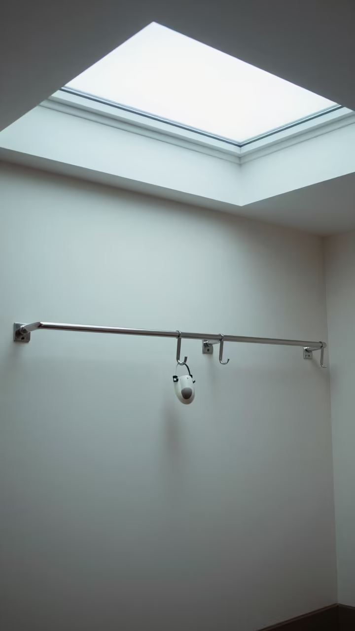 Hydrobath Ear Protection Rail in Adoption Room in inside an adoption room near León de Los Aldama