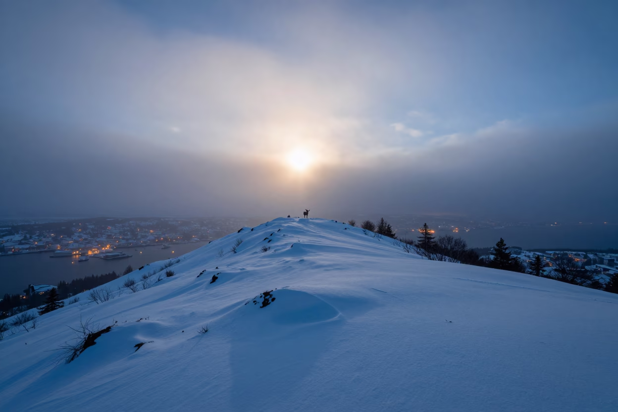 Ice Fog Sun Dogs Over Oslo Ridge in on a wind-scoured ridge near Oslo