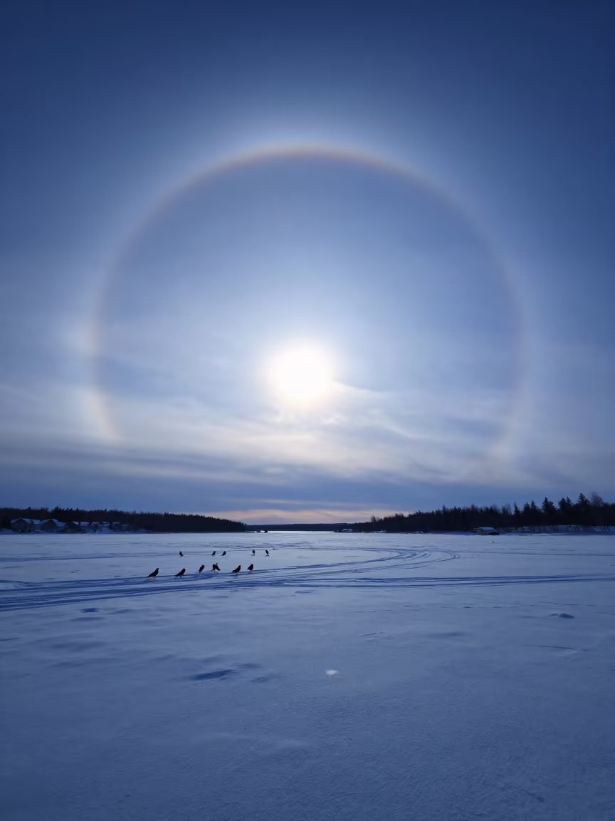 Ice Halo Parhelic Circle Over Canadian Winter Twilight in in Canada