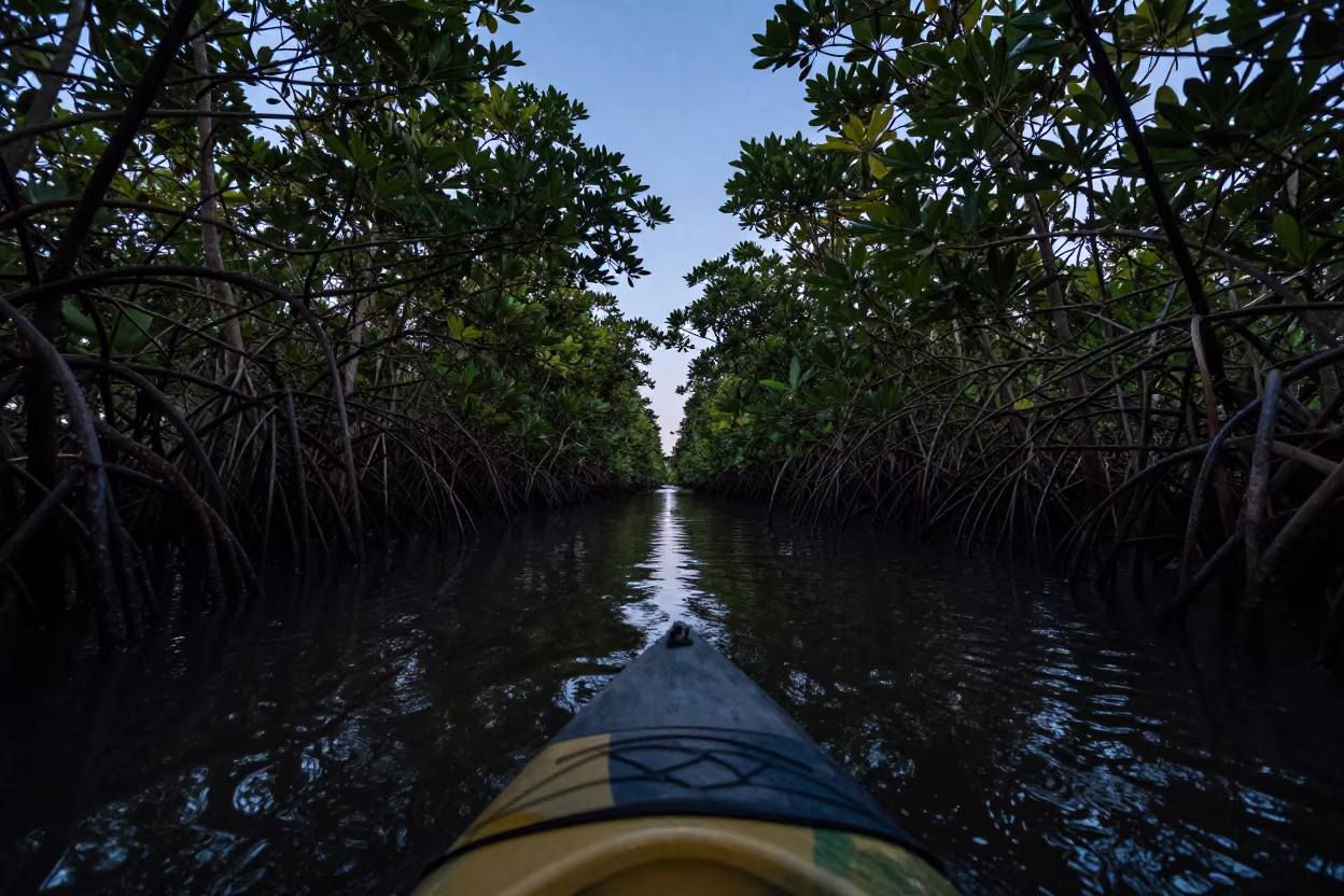 Indigo Mangrove Tunnel Kayak Ferry Crossing in across a remote ferry crossing in Madagascar