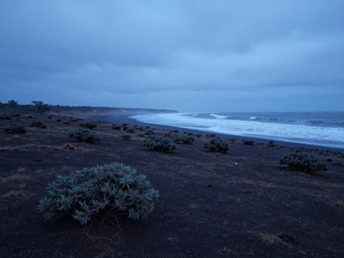 Indigo Twilight Shoreline Congo Tundra Shrubs in along a wave-cut shoreline in Congo
