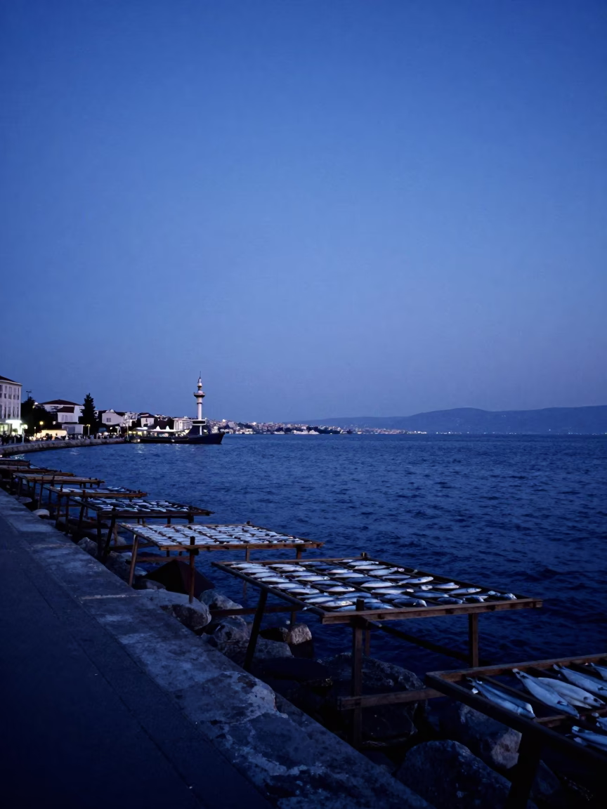 Indigo Twilight Horizon View of Izmir Turkey Harbor with Drying Racks and Substation Glow in in Izmir, Turkey