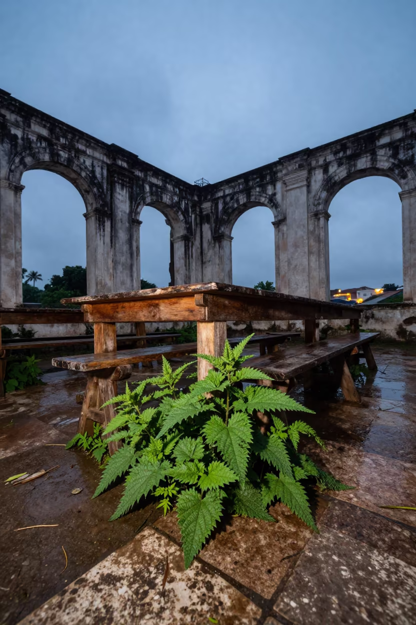 Indigo Twilight Ruin with Nettles Under Tables in near Fortaleza