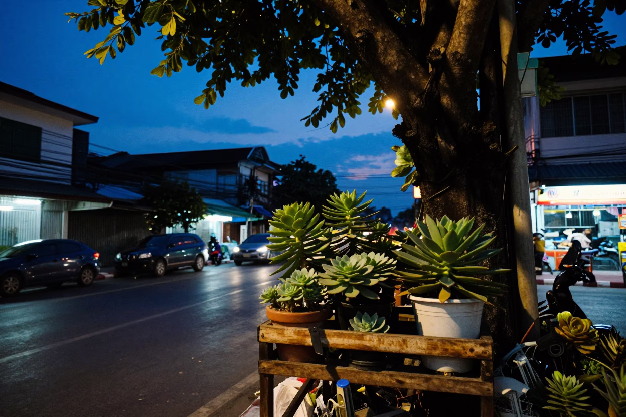 Indigo Twilight Street Scene in Bangkok Thailand with Tree and Junk Boat in in Bangkok, Thailand