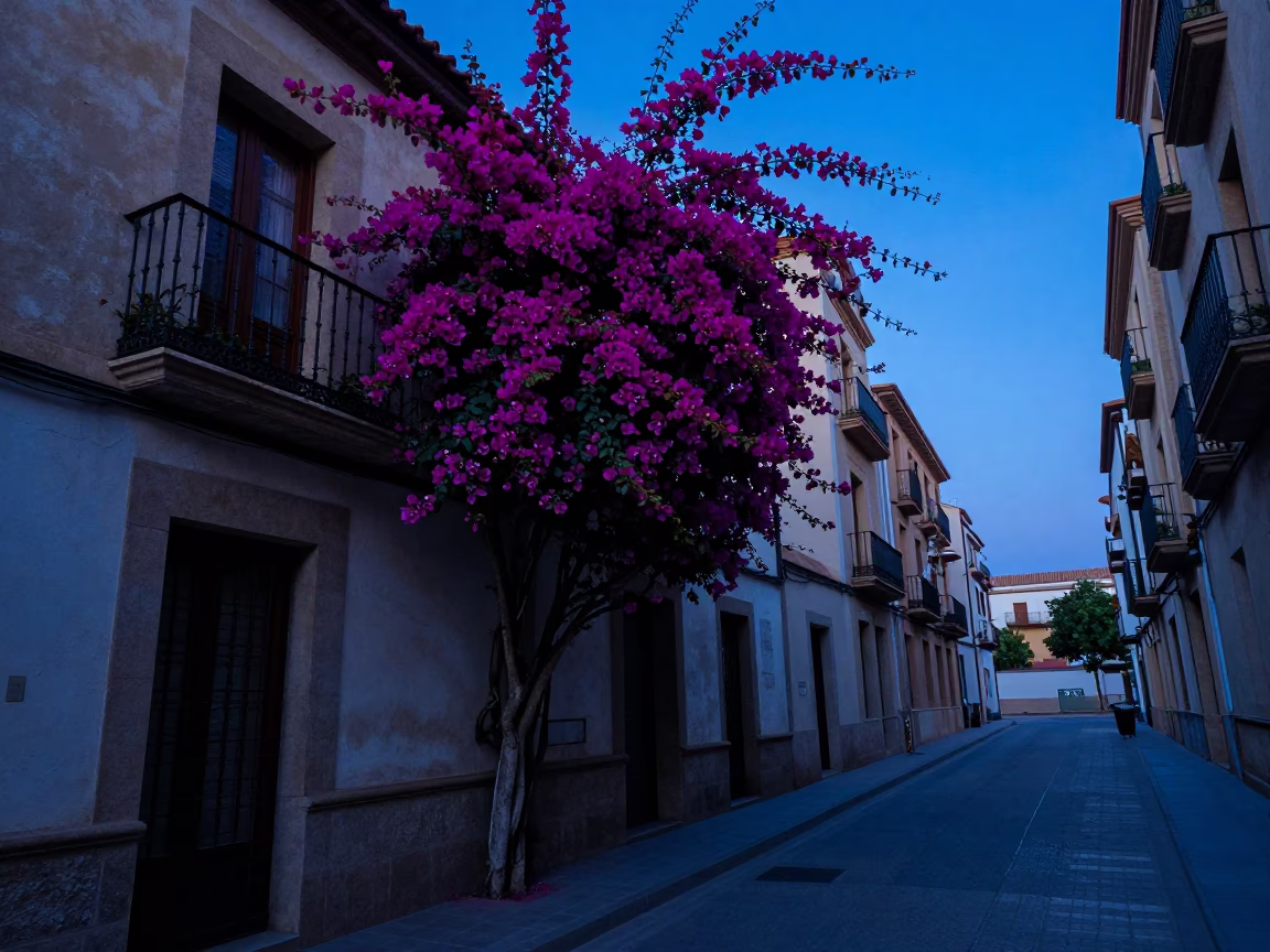 Indigo Twilight Street Scene in Barcelona With Bougainvillea and Traditional Tile Architecture in in Barcelona, Spain