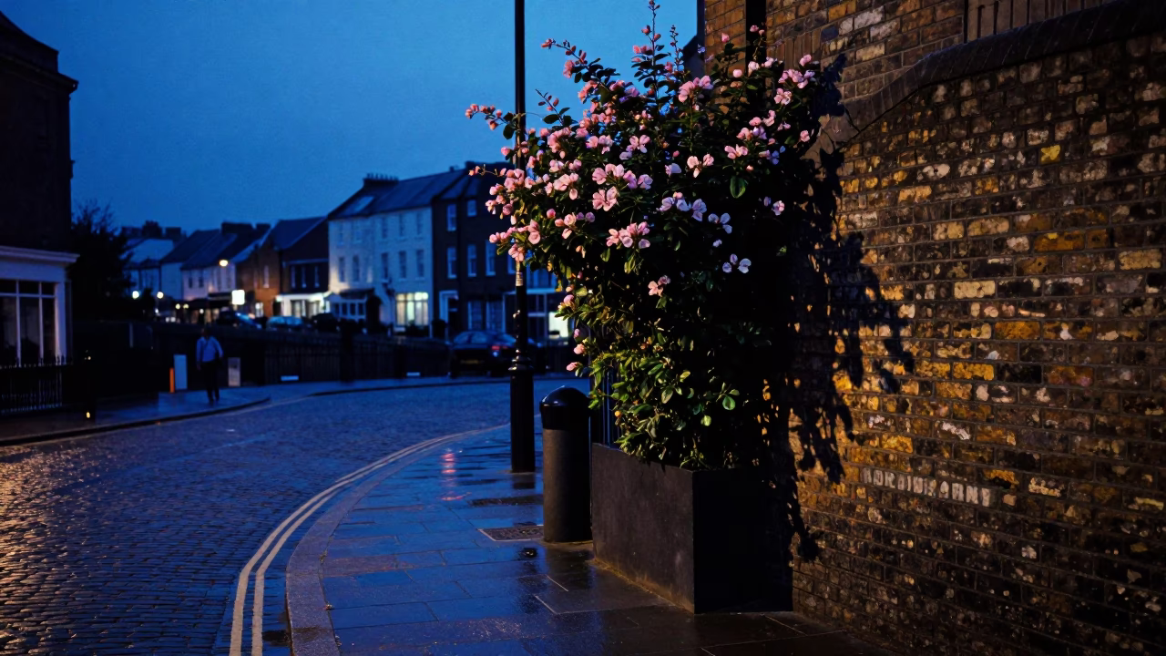 Indigo Twilight Street Scene in Bristol UK with Flowering Plant and Shoebox in in Bristol, United Kingdom