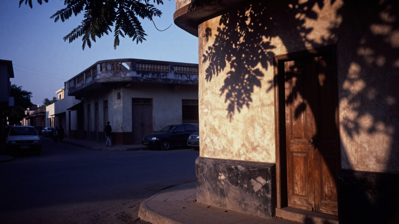 Indigo Twilight Street Scene in Dakar Senegal with Leaf Shadows and Local Life in in Dakar, Senegal