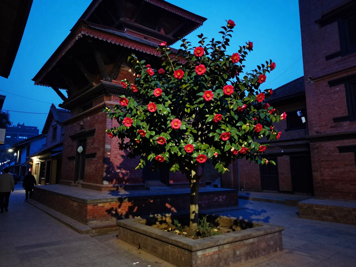 Indigo Twilight Street Scene in Kathmandu Nepal Featuring Camellia and Local Life in in Kathmandu, Nepal