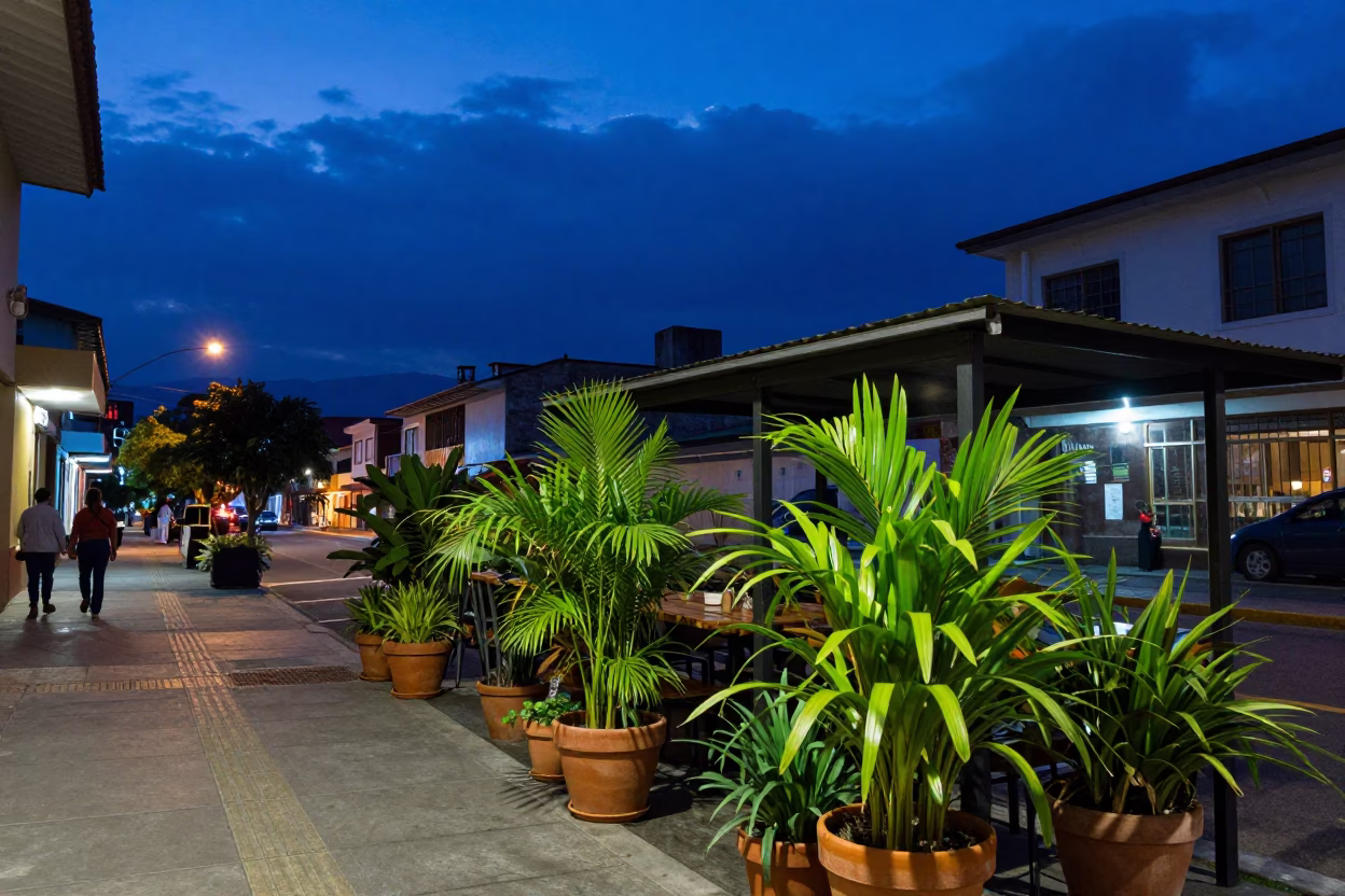 Indigo Twilight Street Scene in Medellin Colombia with Houseplants and Glass Stool in in Medellin, Colombia