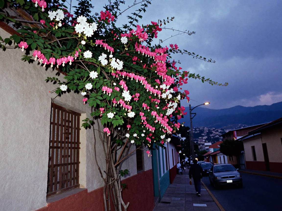 Indigo Twilight Street Scene in Medellin Colombia with Vine and Lattice in in Medellin, Colombia