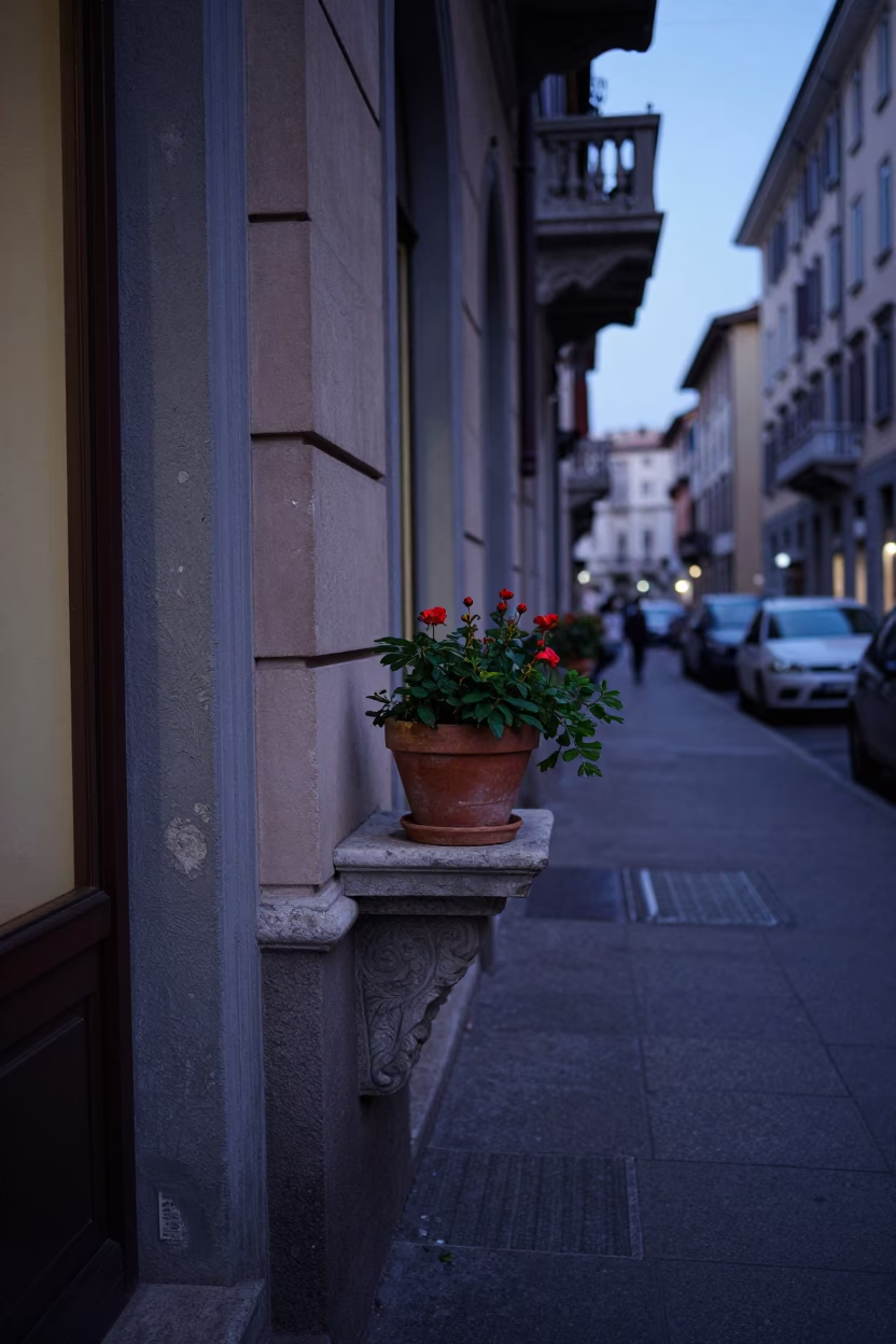 Indigo Twilight Street Scene in Milan Italy with Flowerpot and Chestnut Husks in in Milan, Italy