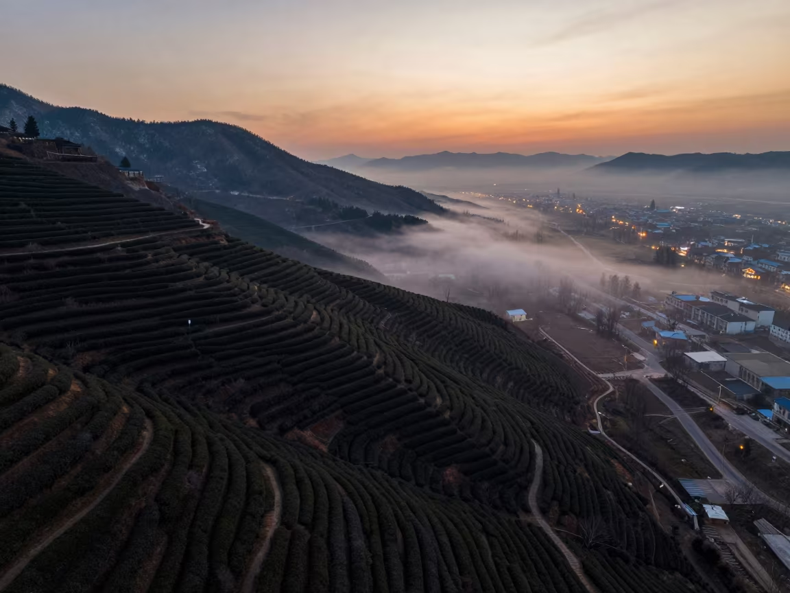 Indigo Twilight Tea Terraces Alberta Fog in in Alberta
