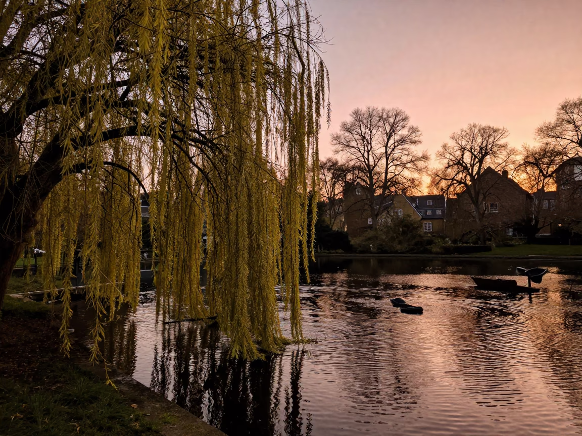 Into Pond in London at Copper-toned Light Before Dusk in in London, United Kingdom