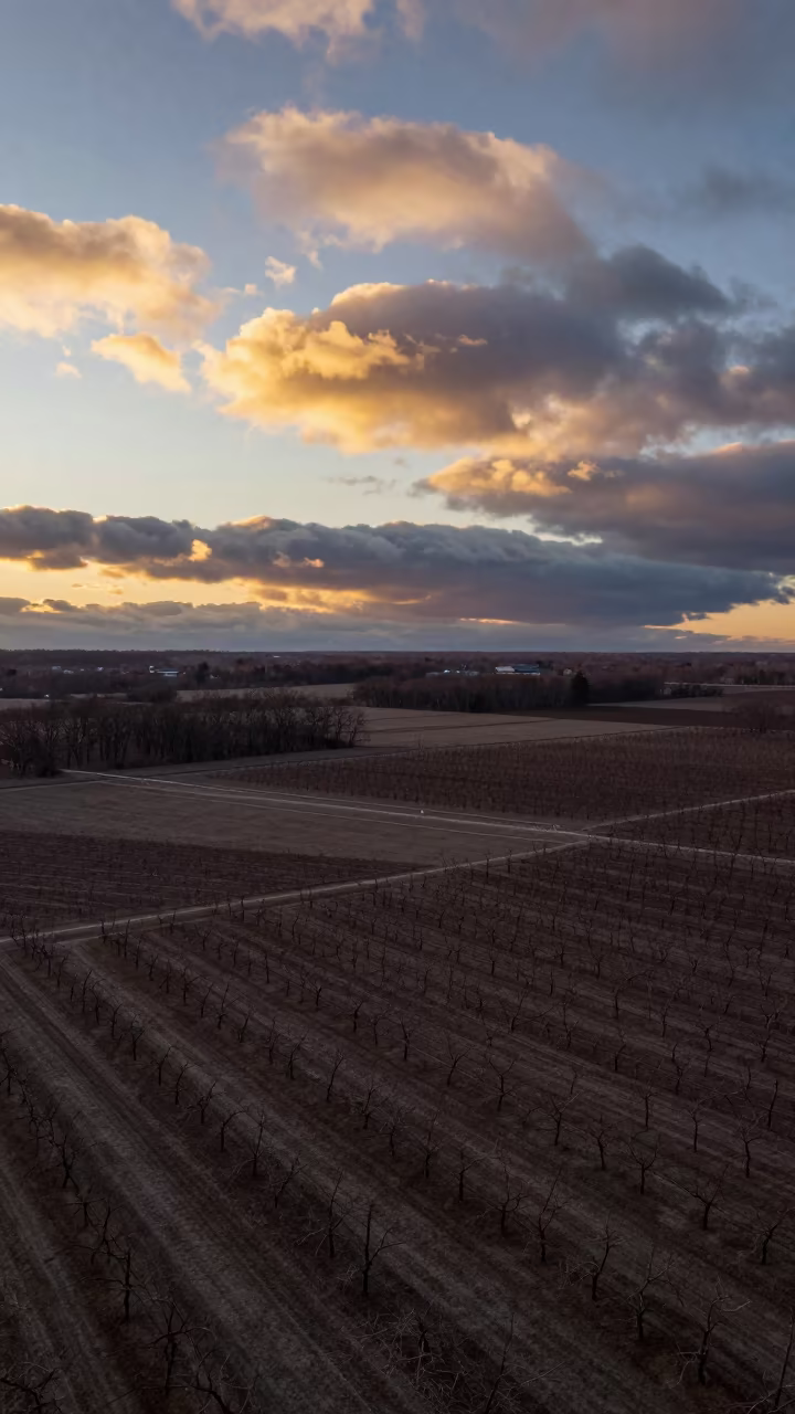 Iowa orchards under tundra polygon clouds at golden hour in far above orchard blocks and irrigation lines in Iowa