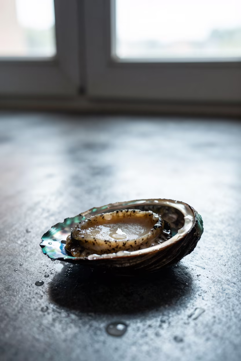 Iridescent Abalone Shell on Rainy Metal Dakar in across a rain-beaded metal surface in Dakar