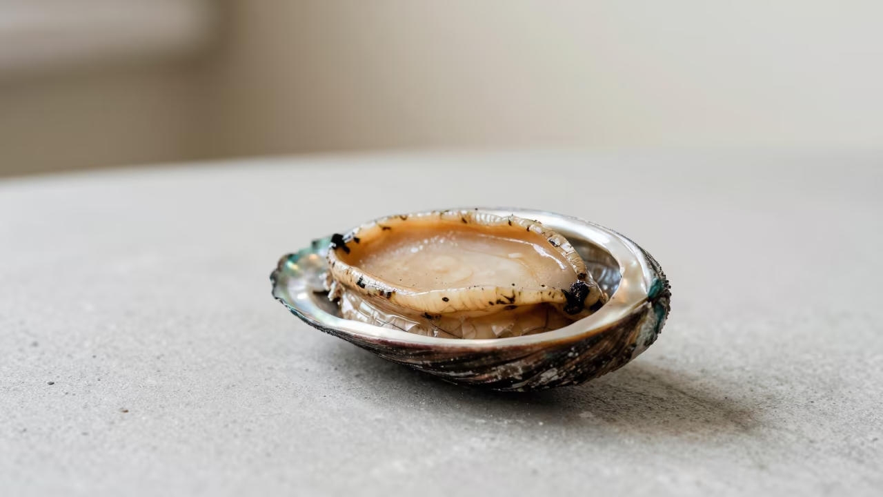 Iridescent Abalone Shell Inside Split Seed Pod in inside a seed pod split open in Jhelum