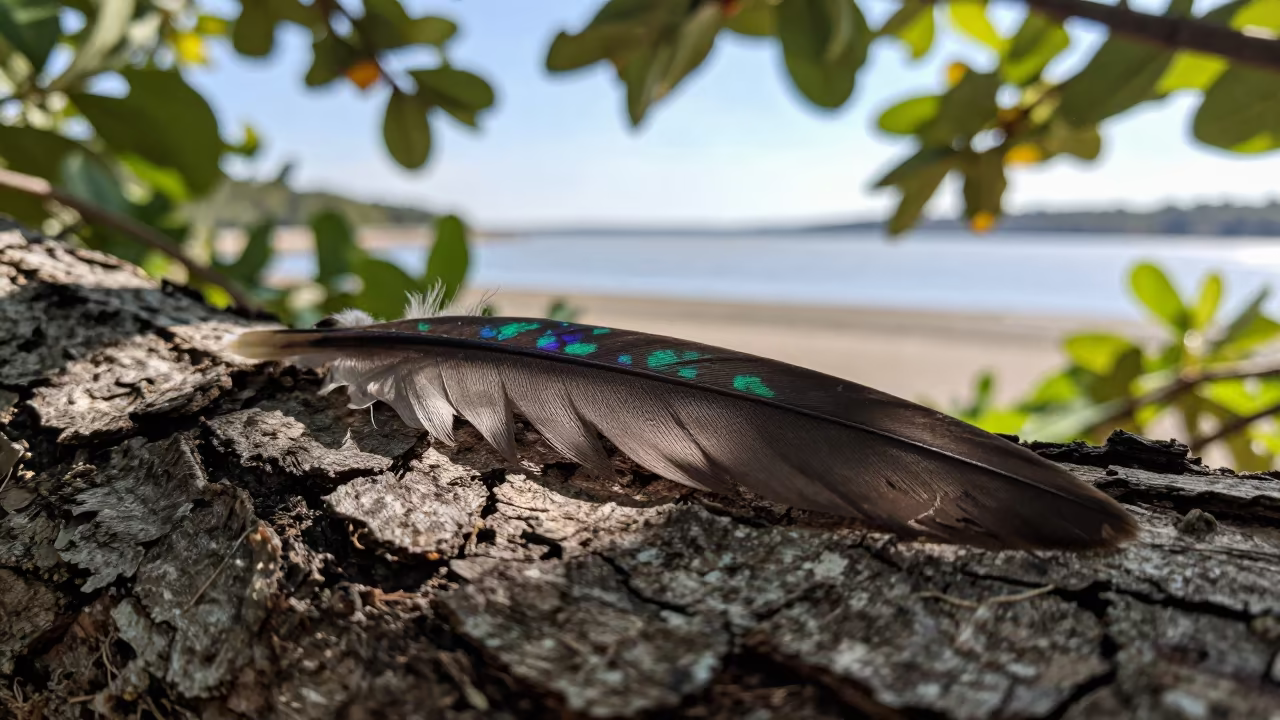 Iridescent Hummingbird Feather Late Afternoon in beside a tidal inlet near Ghorahi