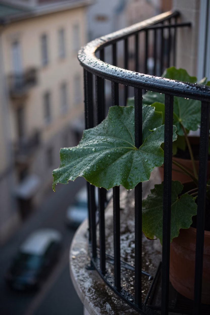 Iron Stair Rail in Budapest in in Budapest, Hungary