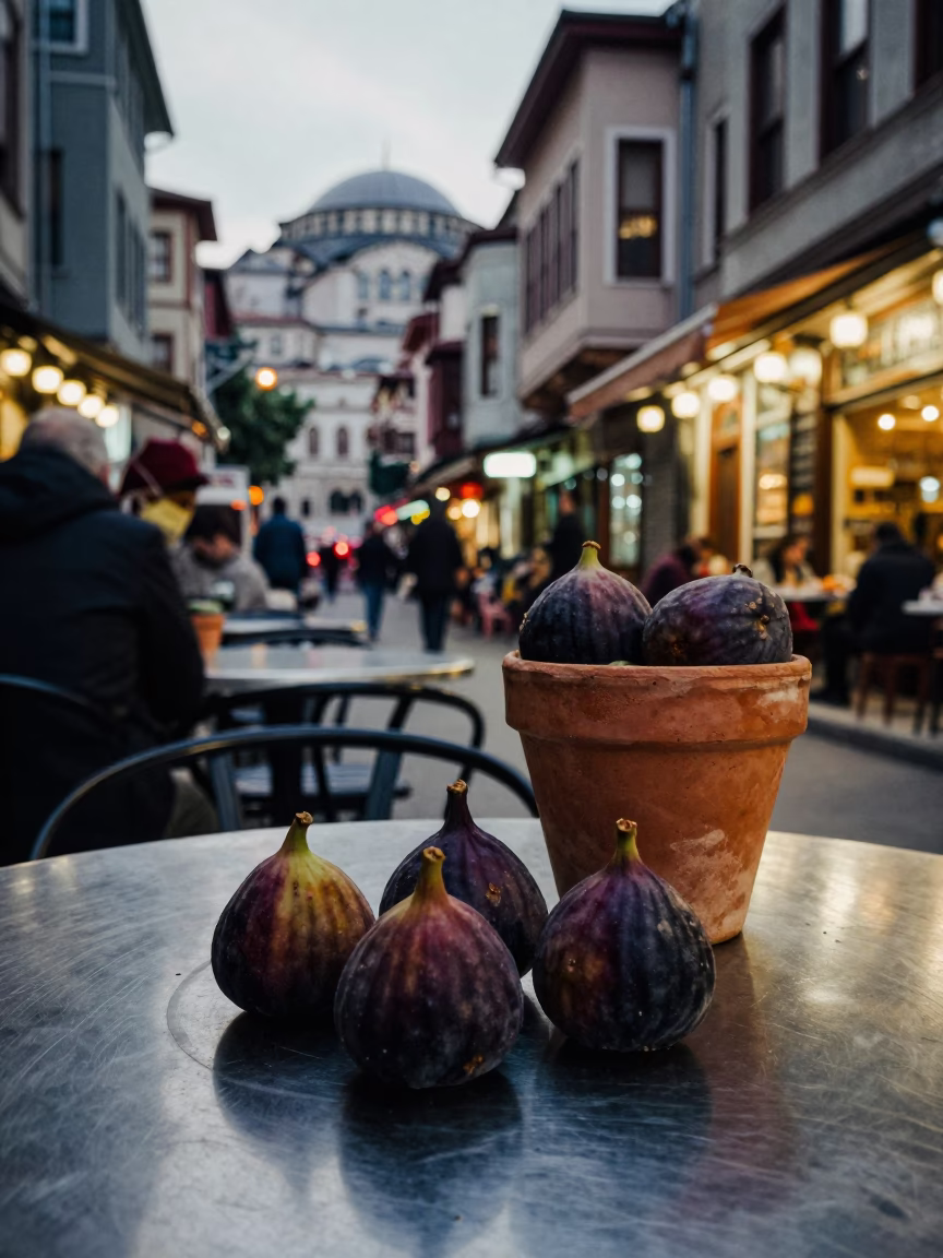 Istanbul Evening Street Scene with Terracotta Pot and Figs on Brushed Steel Table in in Istanbul, Turkey