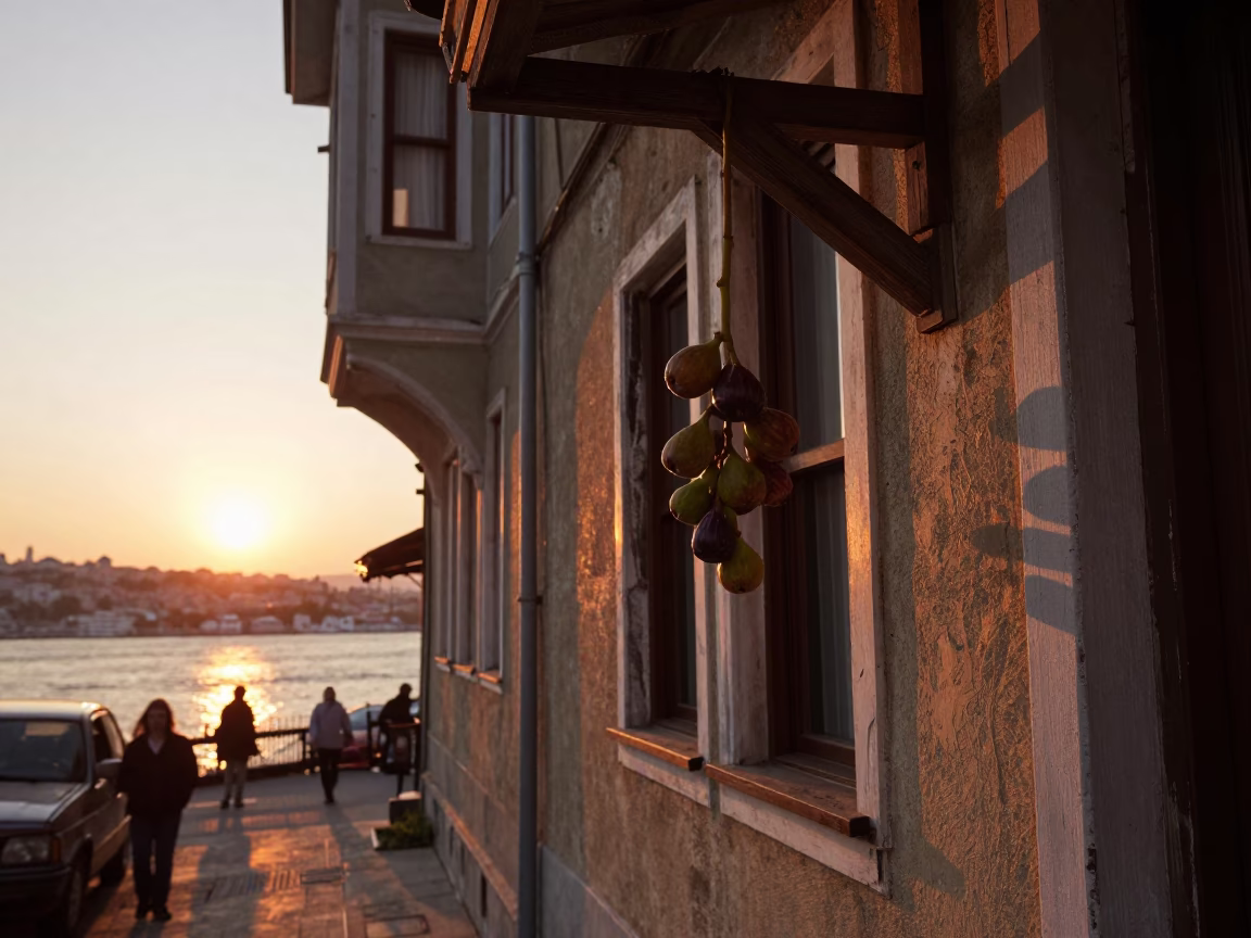 Istanbul Street Scene at Sunset with Hanging Figs and Tea Stained Plaster in in Istanbul, Turkey