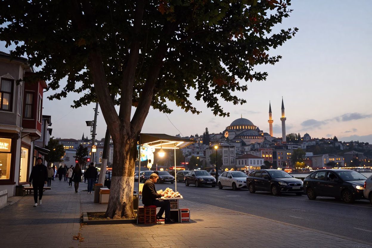 Istanbul street scene at twilight with copper beech tree and borscht bowl in in Istanbul, Turkey