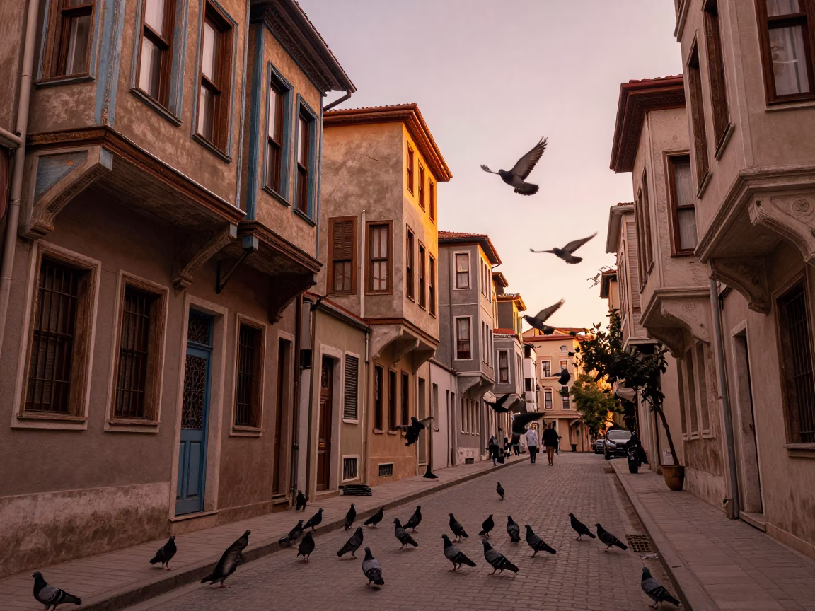 Istanbul Turkey Copper Dusk Street Scene with Pigeons and Traditional Architecture in in Istanbul, Turkey