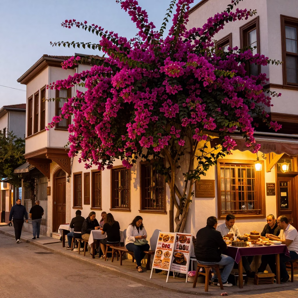 Istanbul Turkey Evening Street Scene with Bougainvillea and Traditional Food Tray in in Istanbul, Turkey