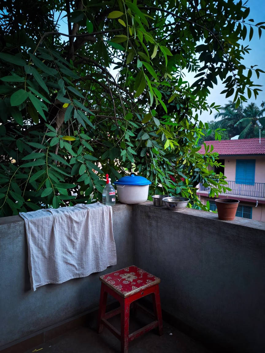 Items Airing in Hyderabad in in Hyderabad, India