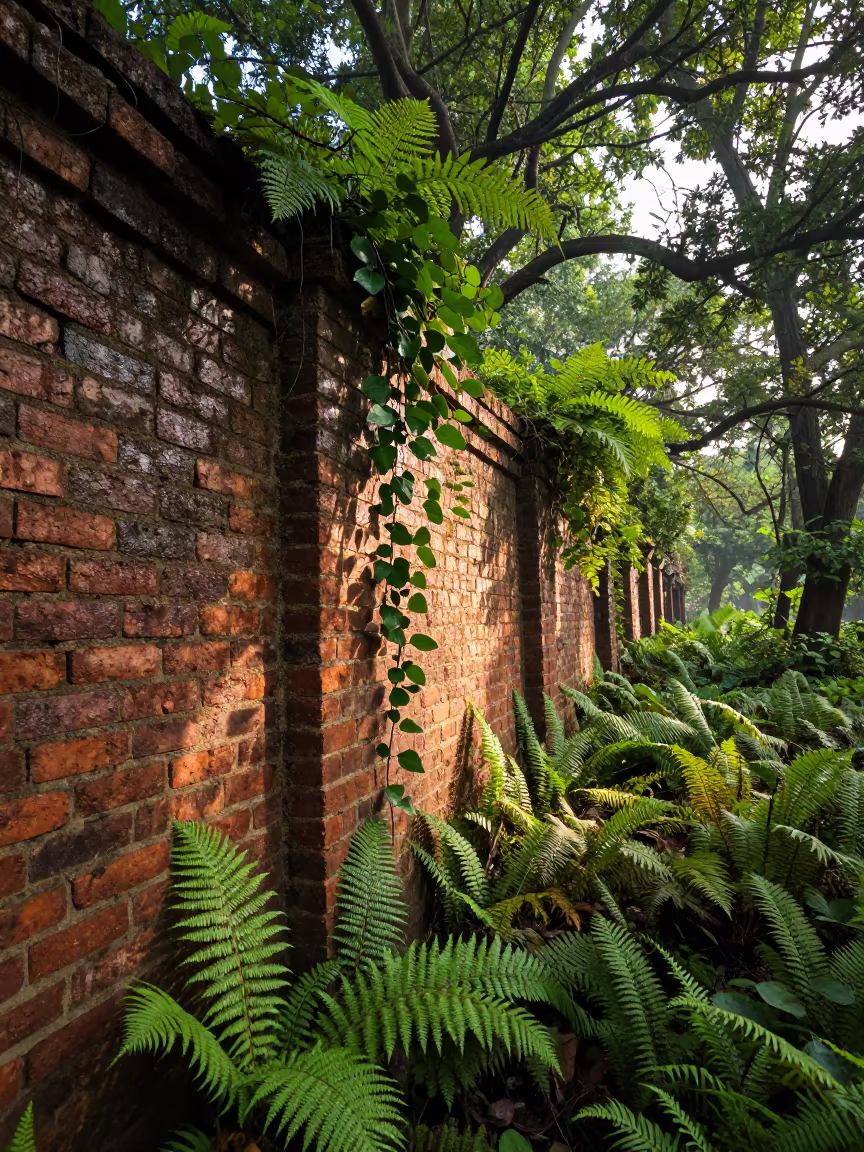 Ivy on Brick Wall Amid Ferns in Chhattisgarh in on a fern-lined forest floor in Chhattisgarh