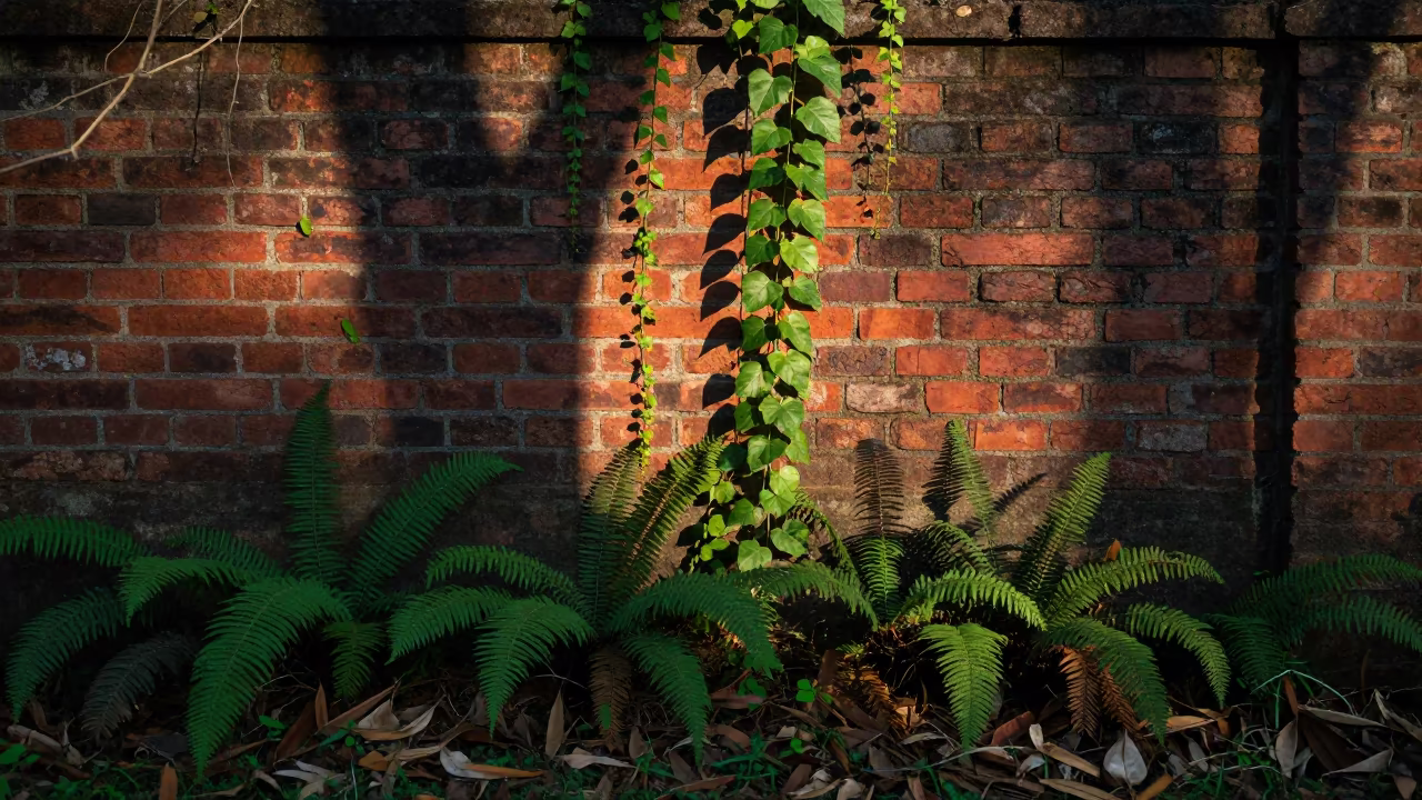 Ivy Climbing Brick Wall in Tamil Nadu Forest in on a fern-lined forest floor in Tamil Nadu