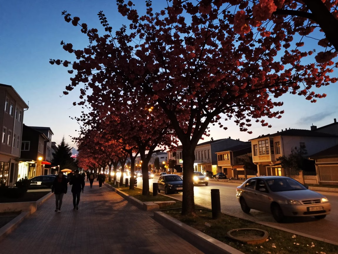 Izmir Turkey evening street scene with cherry trees and city lights glowing in in Izmir, Turkey