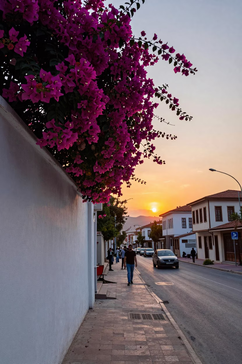 Izmir Turkey Sunset Bougainvillea Over White Wall Street Scene in in Izmir, Turkey