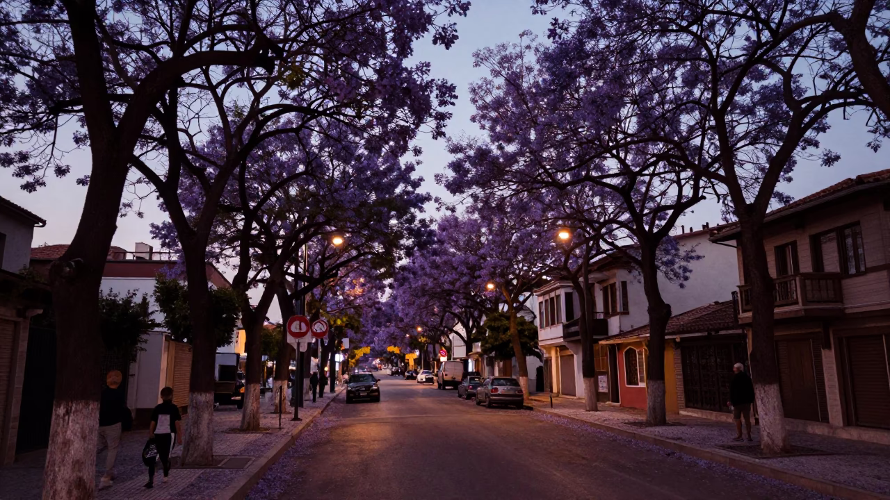 Jacaranda Boulevard in Izmir at Indigo Twilight After Sunset in in Izmir, Turkey