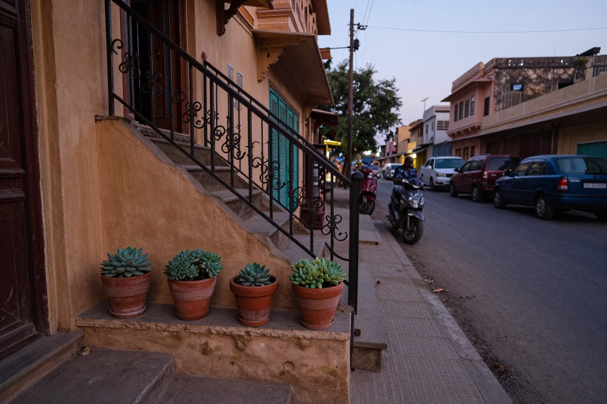 Jaipur India Evening Street Scene with Stair Rail and Succulents in Terracotta Pots in in Jaipur, India