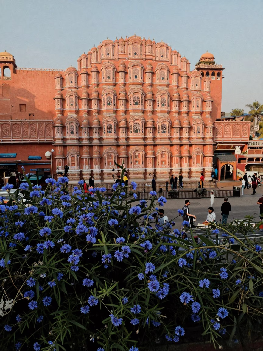 Jaipur India late afternoon street scene with plumbago hedge and local vendor in in Jaipur, India
