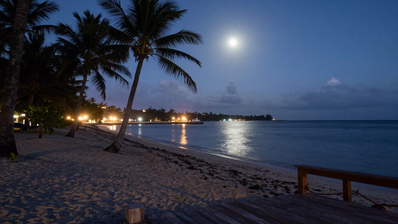 Jamaica Beach Twilight Moonlit Palms Harbor Glow in beside a lantern-dotted harbor in Jamaica