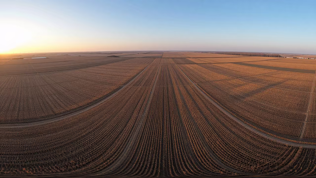 Jiangxi Winter Fields Sunrise Checkerboard in in Jiangxi