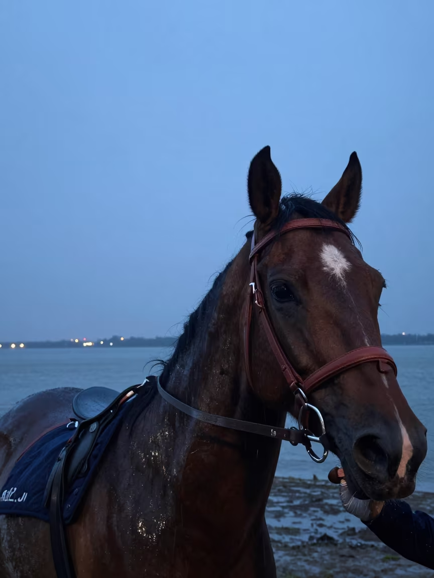Jockey Whipping Horse at Tidal Inlet Twilight in beside a tidal inlet near Port Harcourt