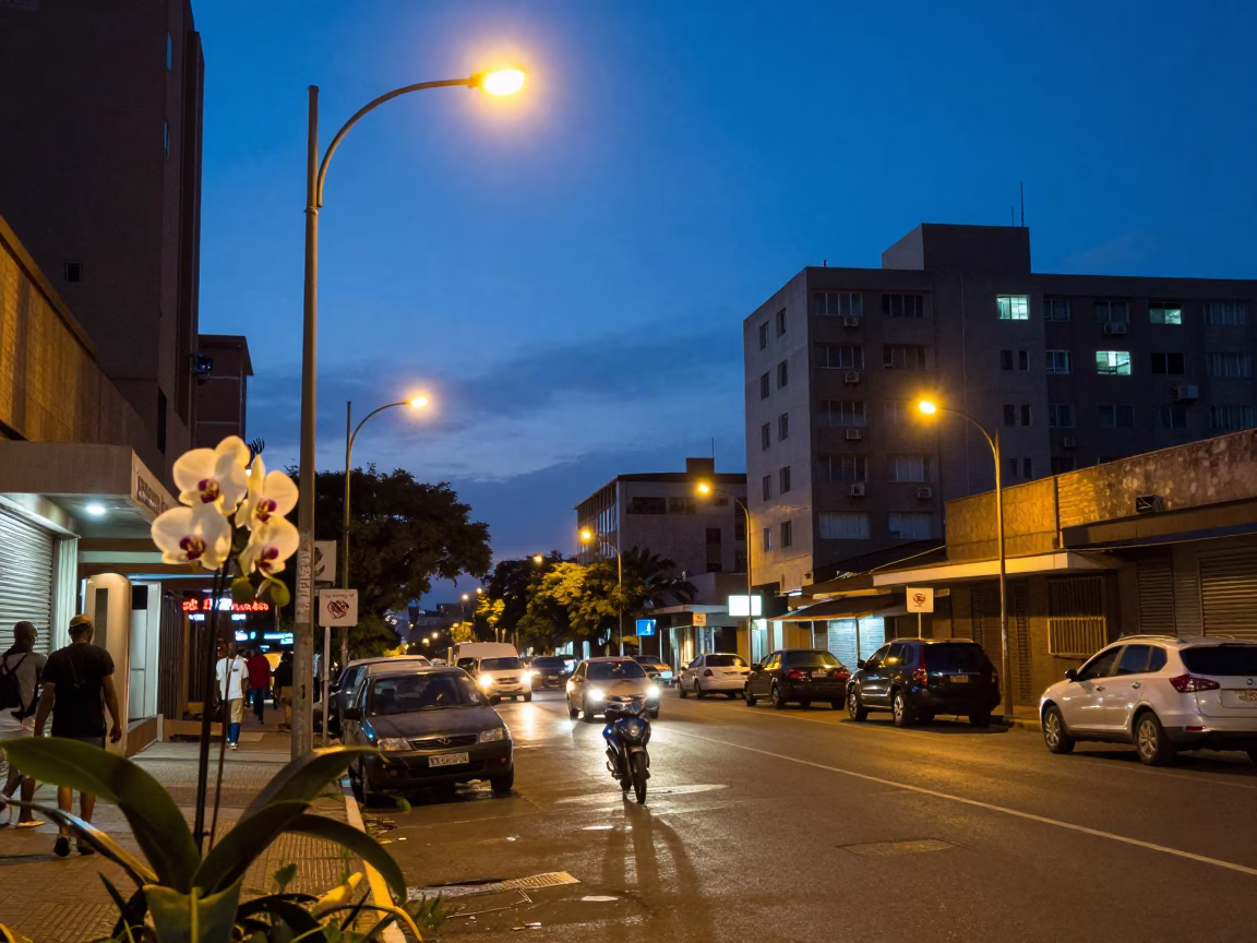 Johannesburg Blue Hour Street Scene with Vanilla Orchid and Urban Life in in Johannesburg, South Africa