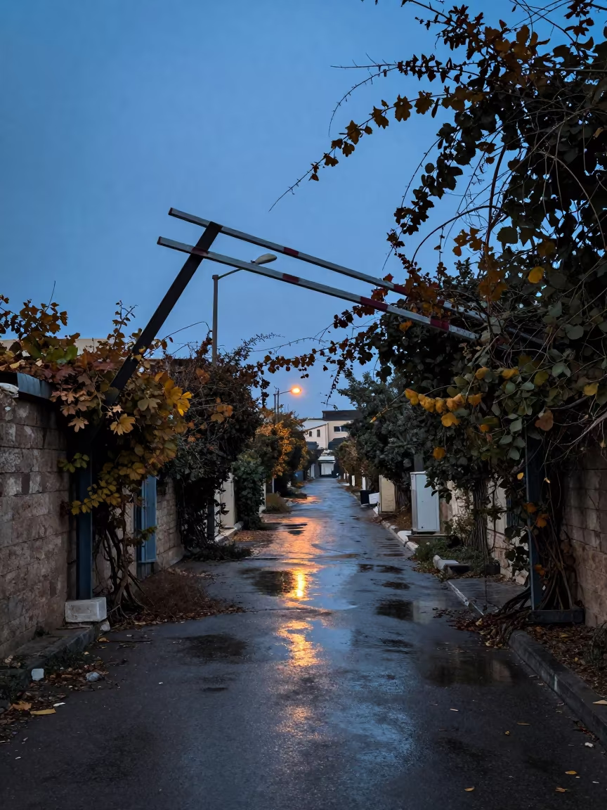 Jordan Border Ruin at Blue Hour in along a vine-choked corridor in Jordan