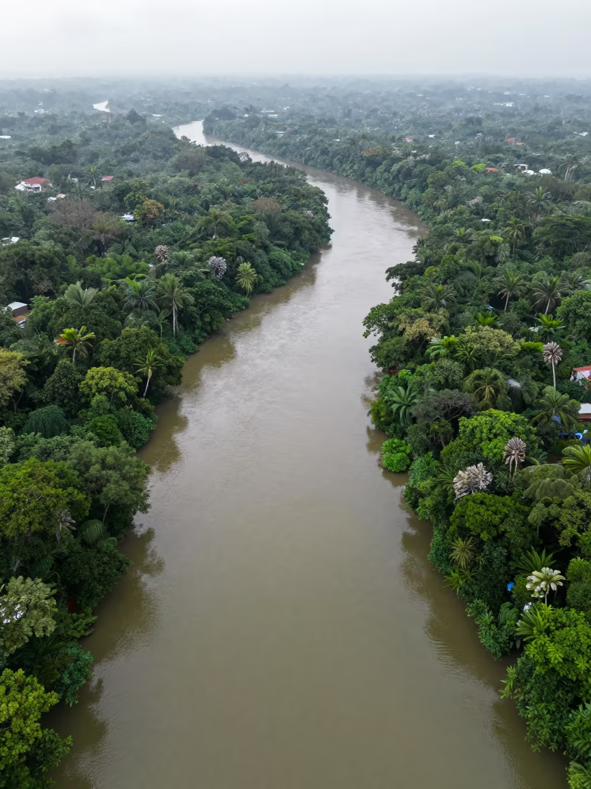 Jungle River Meanders Vanish Under Canopy in far above river meanders near Ho Chi Minh City