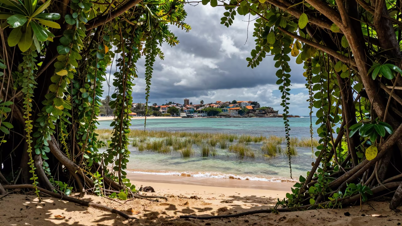 Jungle Vines Overgrow Bondi Lagoon Shoreline in along a wave-cut shoreline near Bondi, Sydney